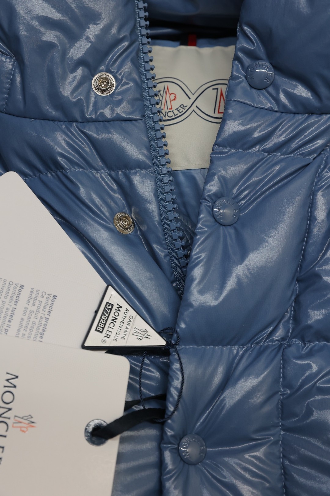 Moncler Down Jackets